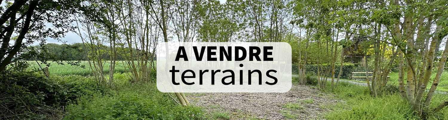 Terrains