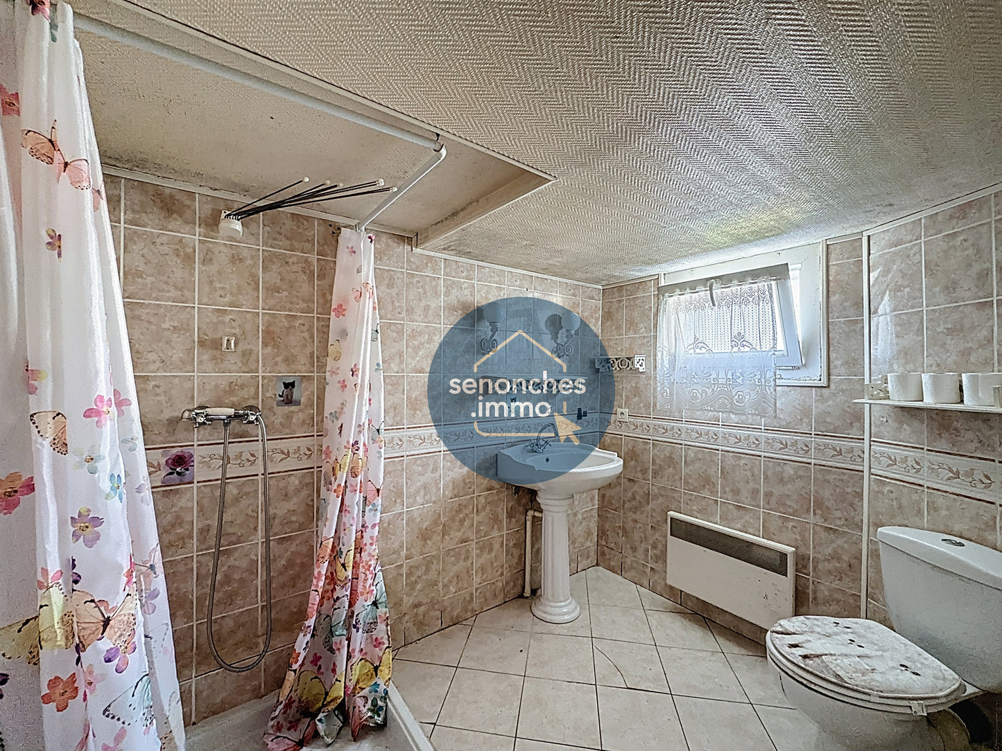 Pavillon sur sous-sol avec studio indépendant, grande grange et terrain clos – La Loupe (28240)