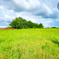 Corps de ferme à vendre à Saint-Victor-de-Buthon (28240) avec dépendances et 2,75 hectares
