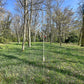 Grand jardin clos arboré sans vis-à-vis au Coudray