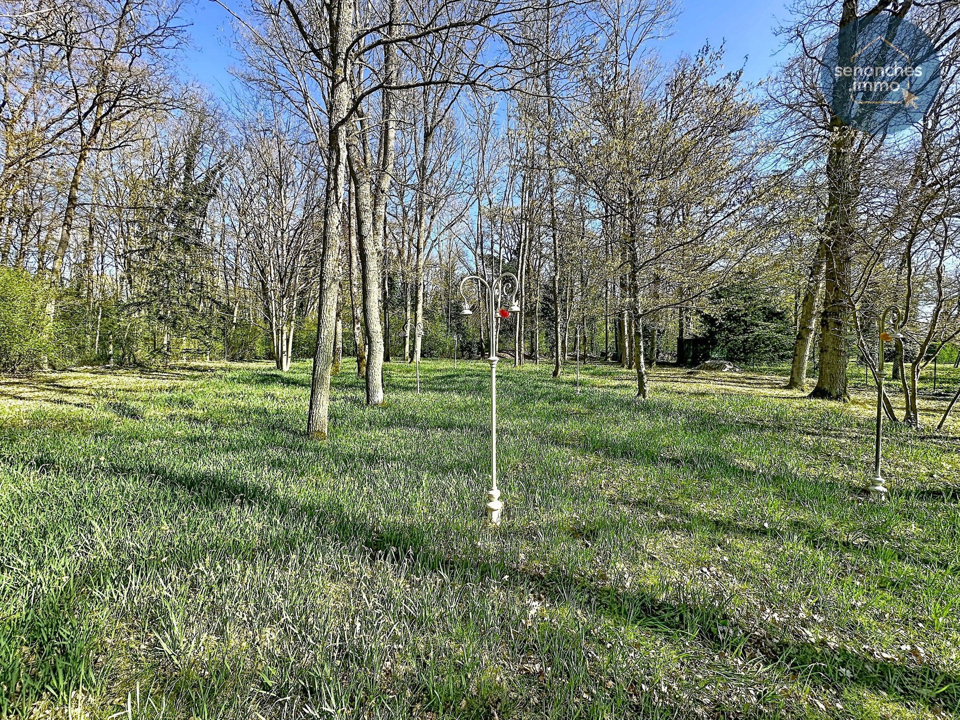 Grand jardin clos arboré sans vis-à-vis au Coudray