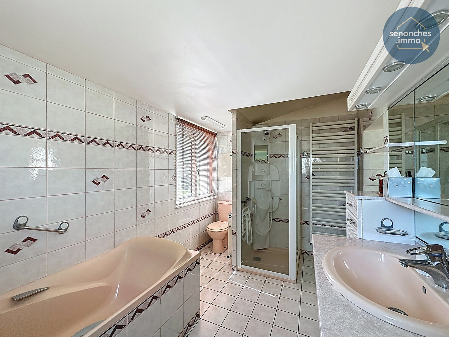 Longère familiale à vendre à Manou avec grand terrain, étang et accès gare La Loupe