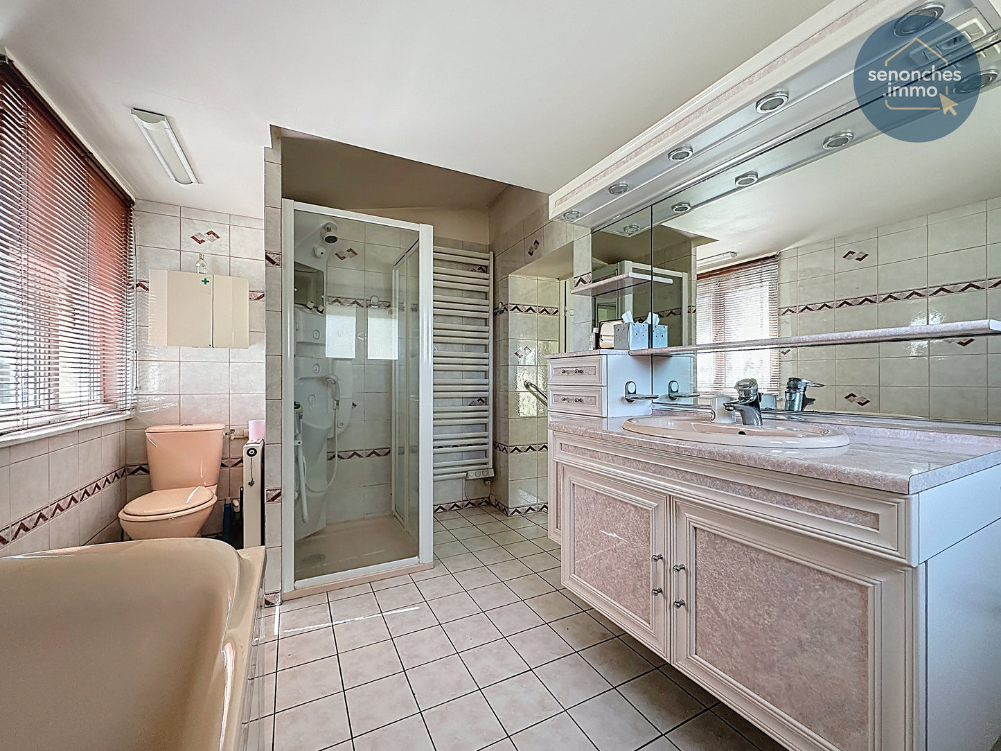 Longère familiale à vendre à Manou avec grand terrain, étang et accès gare La Loupe