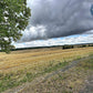 Maison à vendre Saint-Victor-de-Buthon (28240) – Terrain arboré et vue dégagée