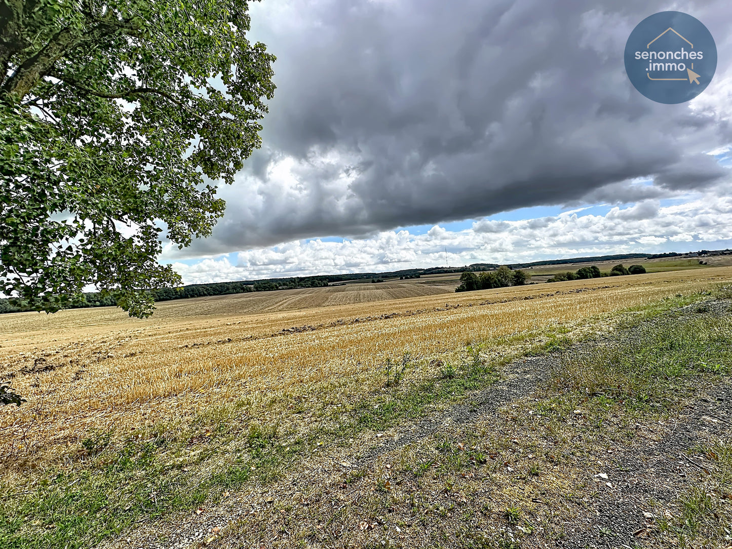 Maison à vendre Saint-Victor-de-Buthon (28240) – Terrain arboré et vue dégagée