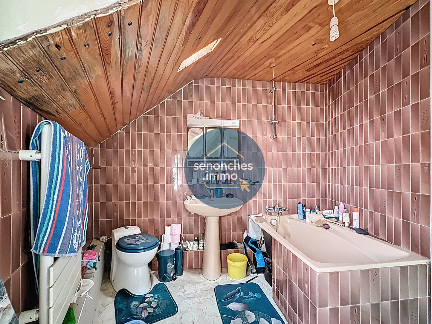 VIAGER OCCUPÉ - Maison de bourg en viager à vendre à La Loupe (28240)