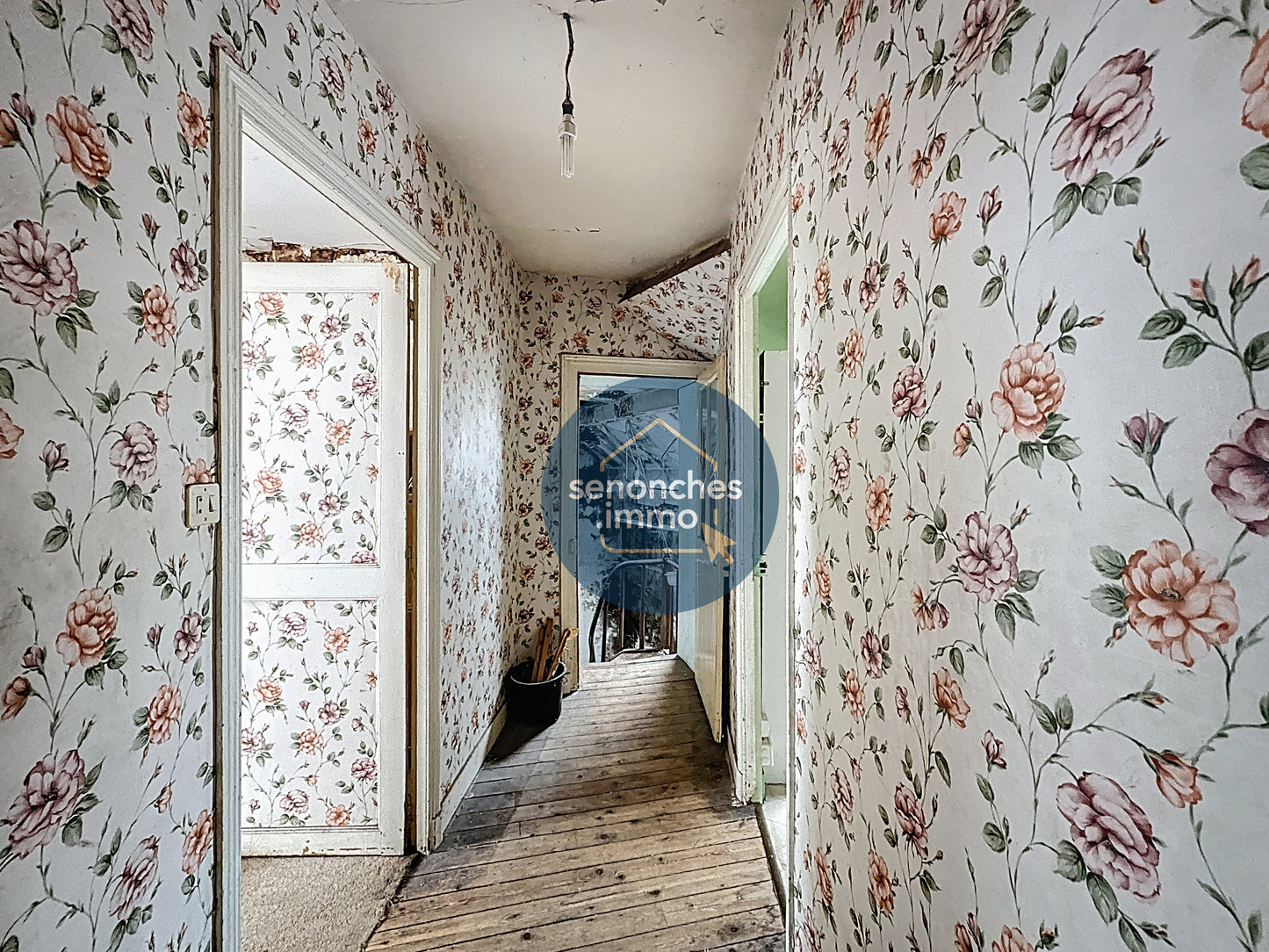 VIAGER OCCUPÉ - Maison de bourg en viager à vendre à La Loupe (28240)